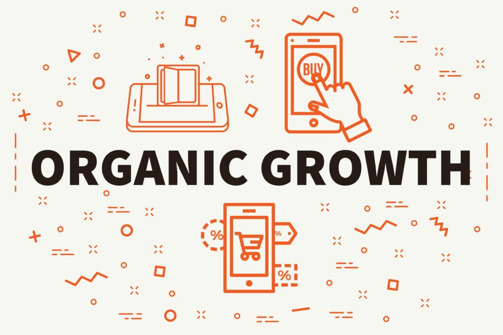 Organic SEO Growth